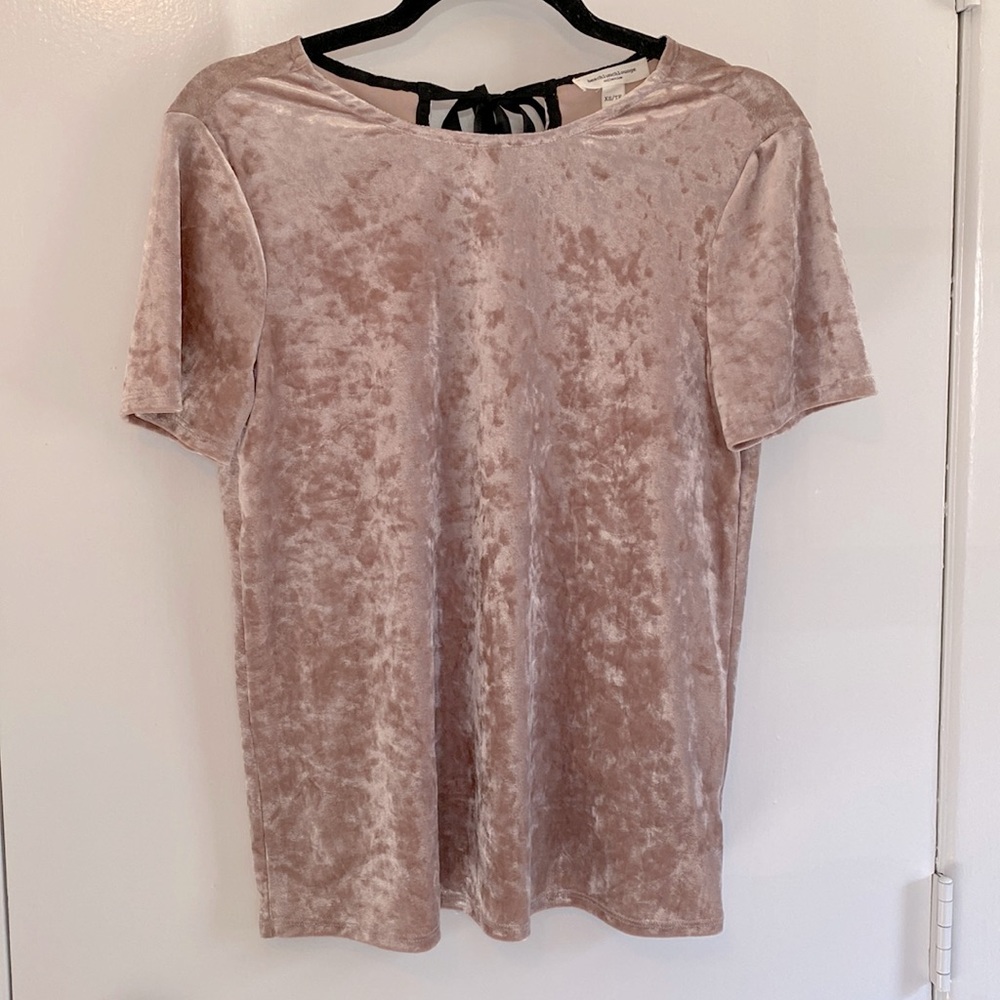 Blush short sleeved velvet shirt size xsmall petite